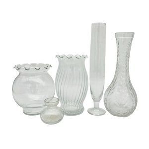 Set of 5 Vases Clear Glass Misc Shapes and Sizes